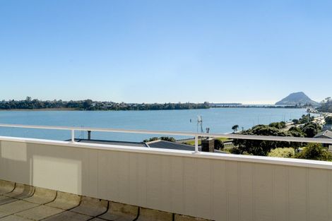 Photo of property in 107 Fourth Avenue, Tauranga, 3110