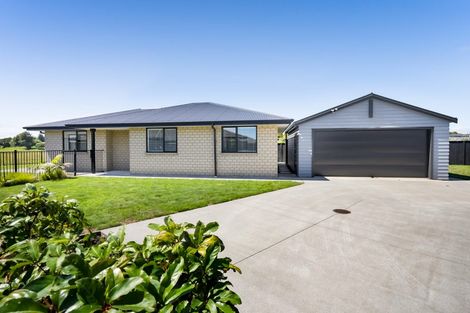 Photo of property in 20 Papawhero Drive, Bell Block, New Plymouth, 4312