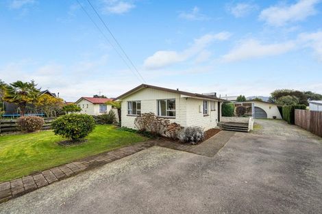 Photo of property in 25 Clyde Street, Renwick, 7204