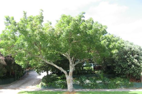 Photo of property in 26 Merfield Street, Glen Innes, Auckland, 1072