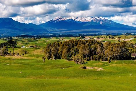 Photo of property in 183 Warea Road, Warea, 4381