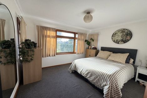 Photo of property in 209 Leo Street, Akina, Hastings, 4122