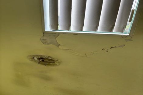 Photo of property in 59c Astley Avenue, New Lynn, Auckland, 0600