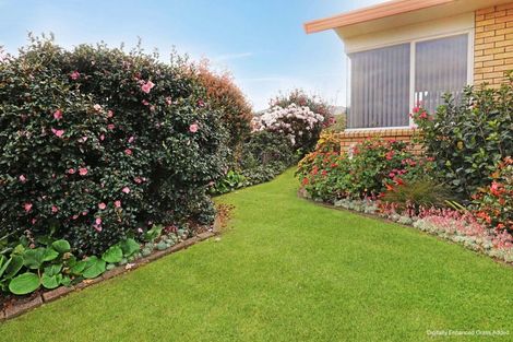 Photo of property in 34 Sapphire Drive, Hairini, Tauranga, 3112