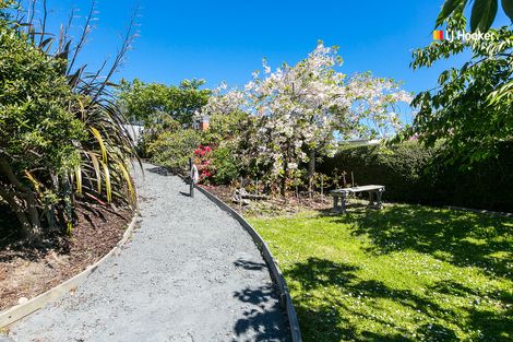 Photo of property in 109 Belford Street, Waverley, Dunedin, 9013