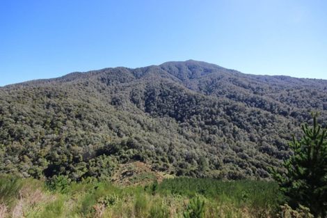 Photo of property in 857 Ronga Road, Rai Valley, 7194