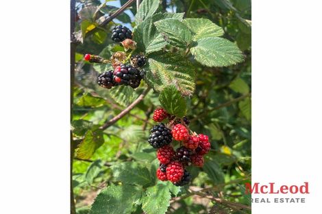 Photo of property in 1742 Grahams Road, Eiffelton, Ashburton, 7774