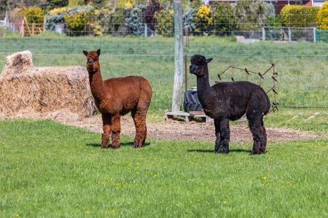 Photo of property in 171 Airport Road, Alexandra, 9391