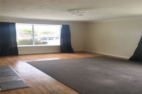 Photo of property in 123 Briggs Road, Shirley, Christchurch, 8052