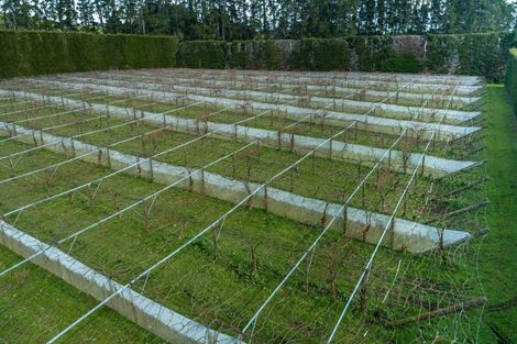 Photo of property in 29 I'anson Road, Minden, 3179