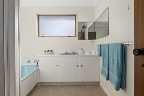 Photo of property in 213c Fifteenth Avenue, Tauranga South, Tauranga, 3112