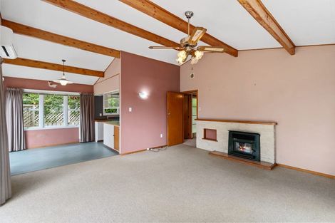 Photo of property in 17 Hamilton Street, Te Aroha, 3320