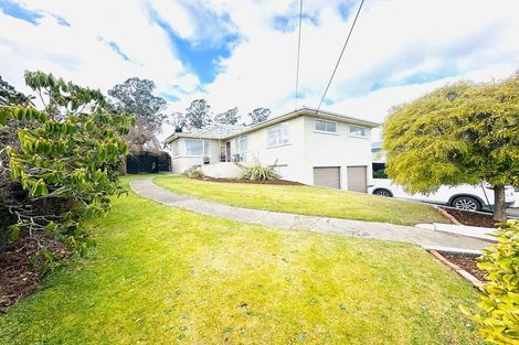 Photo of property in 16 Oxford Street, Holmes Hill, Oamaru, 9401