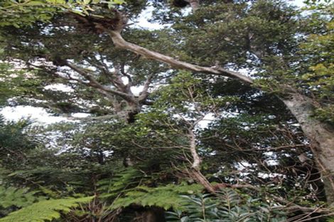 Photo of property in 2567 Rings Road, Coromandel, 3506