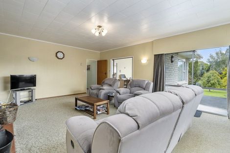 Photo of property in 17 Tamar Street, Rongotea, 4476