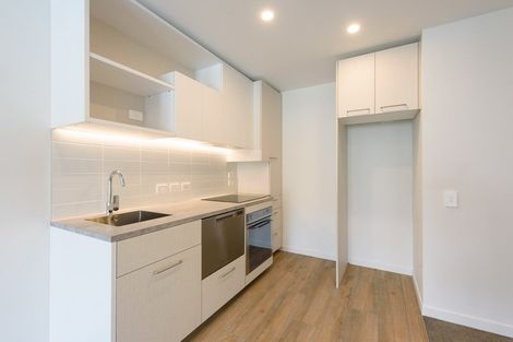 Photo of property in Vsp South, 1003/168 Victoria Street, Te Aro, Wellington, 6011