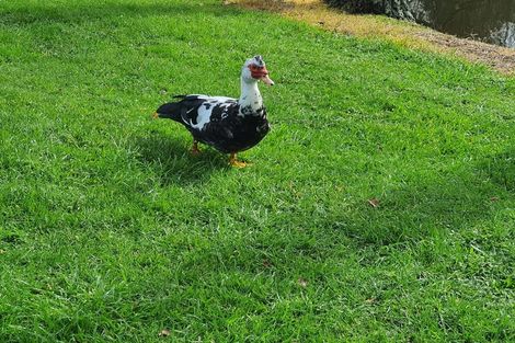 Photo of property in 7/75 Saint Leger Road, Te Awamutu, 3875