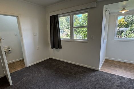 Photo of property in 341 Peachgrove Road, Fairfield, Hamilton, 3214