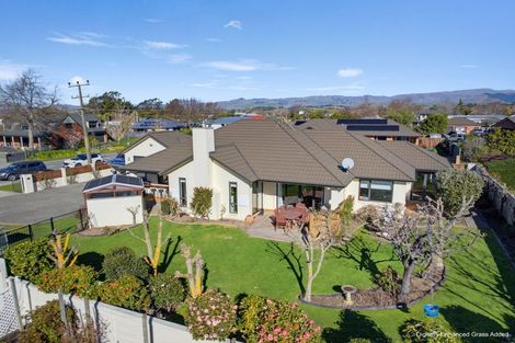 Photo of property in 22 Boyce Street, Renwick, 7204