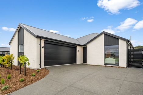 Photo of property in 56 Fairmaid Street, Lincoln, 7608