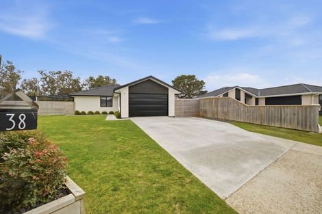 Photo of property in 38 Tawhero Street, Gonville, Whanganui, 4501