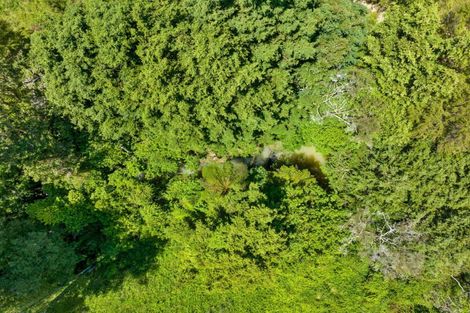 Photo of property in 246 Gray Road, Te Kamo, Kamo, 0185