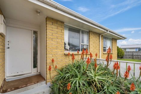 Photo of property in 42 Hinemoa Street, Levin, 5510