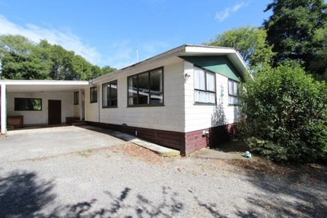 Photo of property in 177 North Road, Eketahuna, 4995
