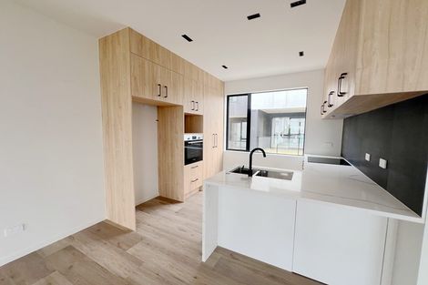 Photo of property in 677b Sandringham Road, Sandringham, Auckland, 1025
