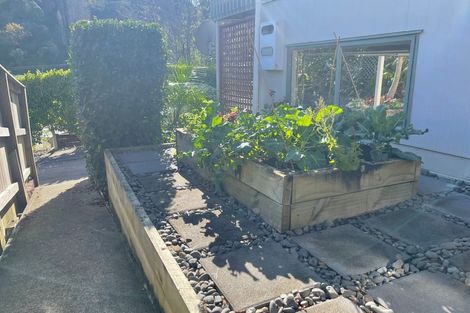 Photo of property in 514a Sandes Street, Thames, 3500