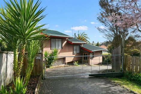 Photo of property in 21 Anderson Street, Putaruru, 3411