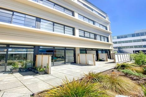 Photo of property in 1/3g Roxburgh Street, Mount Victoria, Wellington, 6011