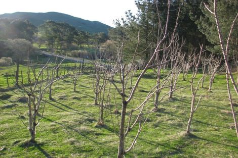 Photo of property in 4 Terrace Street, Matawai, 4075