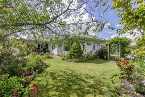 Photo of property in 21 Palmbrook Avenue, Havelock North, 4130
