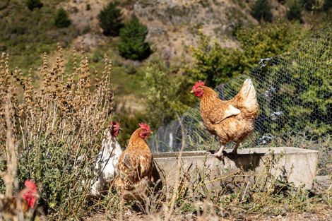 Photo of property in 3932 Waihopai Valley Road, Waihopai Valley, Blenheim, 7276