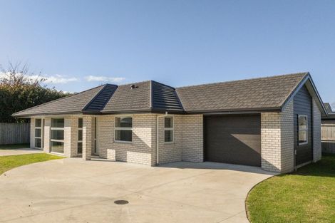 Photo of property in 6 Tamma Lane, Katikati, 3129