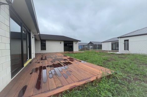 Photo of property in 21 Sydney Place, Flagstaff, Hamilton, 3210