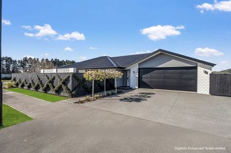 Photo of property in 6 Dunlops Crescent, Marshland, Christchurch, 8083