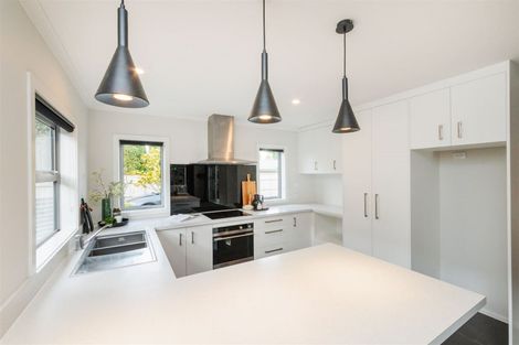 Photo of property in 83b Fitzroy Street, Terrace End, Palmerston North, 4410