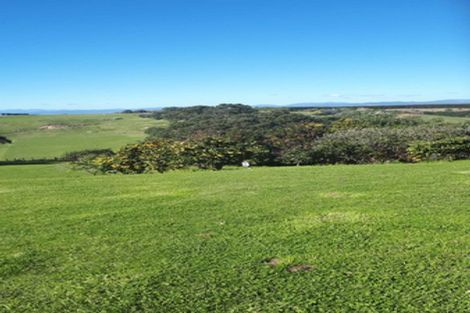 Photo of property in 59 Pohutukawa Drive, Waiotahe, Opotiki, 3198