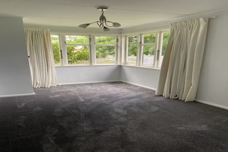 Photo of property in 117 Fairfield Road, Fairfield, Hamilton, 3214