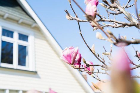 Photo of property in 620 Highgate, Maori Hill, Dunedin, 9010