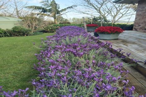 Photo of property in 11 Te Pahi River Drive, Paparoa, Maungaturoto, 0583