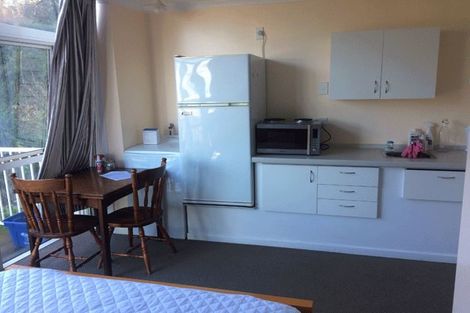 Photo of property in 16a Lachlan Avenue, North Dunedin, Dunedin, 9016