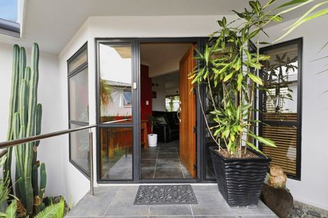 Photo of property in 75 Campbell Road, Mount Maunganui, 3116