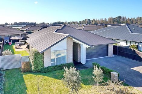 Photo of property in 6 Te Aue Street, Marshland, Christchurch, 8083
