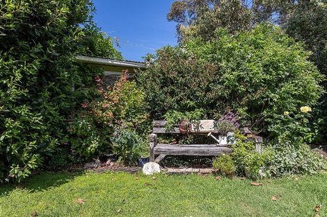 Photo of property in 40 James Mcleod Road, Shelly Beach, Helensville, 0874