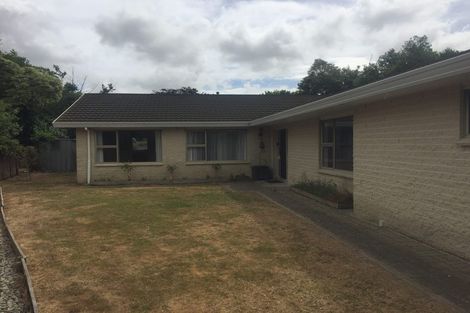 Photo of property in 126c Long Melford Road, Awapuni, Palmerston North, 4412