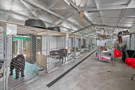 Photo of property in 1981 Omakau Chatto Ck Road, Chatto Creek, Alexandra, 9393