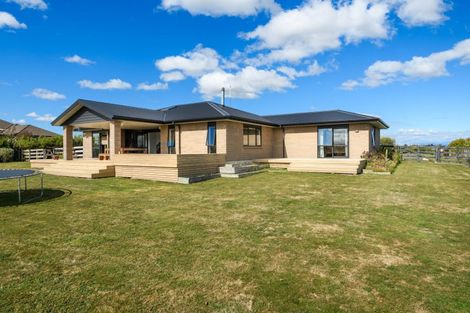 Photo of property in 14 Fallow Avenue, Feilding, 4775